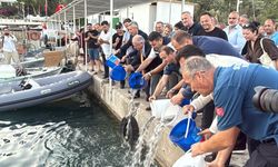 Muğla'da balıkçılar, 'Vira Bismillah' diyerek denize açıldı