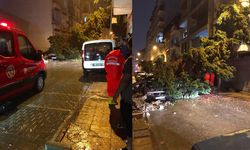 Mersin’de yıldırım ağacı devirdi: Park halindeki araç hasar gördü