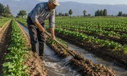 Mersinli üretici yüksek sulama maliyetlerinden dertli