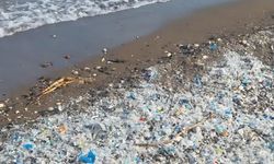 Mersin Çevre Platformu plastik atıkla mücadeleyi büyütüyor