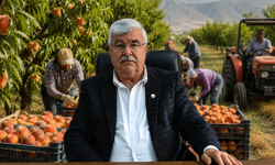 Başkan Yılmaz: "Şeftali üreticisi maliyetinin yarısını karşılayamıyor"