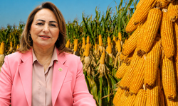 “Çiftçi hem doğa koşullarıyla hem de tüccarla mücadele ediyor”