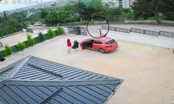 Ordu’da otomobilin çarptığı köpek öldü; 10 yaşındaki kız bayıldı