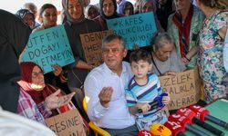 Özel: "Kafesler balıkçı köylerinin başına dert oldu"