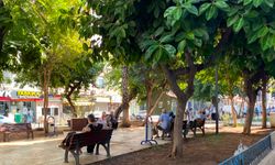 Mersin’de sıcak hava hayatın ritmini değiştirdi