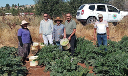Silifke Ziraat Odası’ndan Kocaoğlu’nda üretici ziyareti