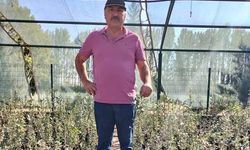 Mersin’in tropikal tarım rotası mango olabilir