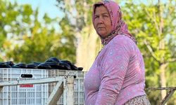 40 derecede toprağın yükü kadınların omzunda