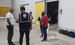 Mersin’de soğuk hava depolarında stok denetimi