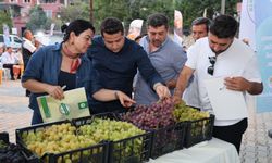 Para etmeyen üzümün festivalini yaptılar