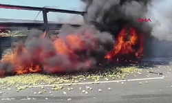 Adana'da otoyolda feci kaza: TIR şoförü hayatını kaybetti