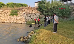 Nehrin akıntısına kapıldılar