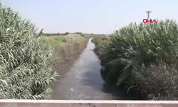 Akdeniz’de mikroplastik denetimi: 40 günde 19 tesis kapatıldı