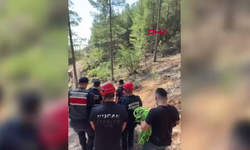 Sızgıla otu toplarken kayalıktan düştü