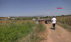 1 dönümle başladı, bin dönüme ulaştı
