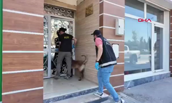 Narkotik Operasyonu'nda 9 gözaltı