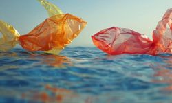 Mersin’in plastik karnesi masaya yatırılacak