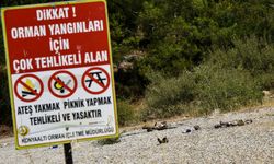 Yasağa rağmen ‘ormanda mangal' yakmaya devam ediyorlar