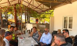Milletvekili Dinçer yangın bölgesinde incelemelerde bulundu