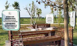 İskenderun sahilinde kirli bırakılan ahşap oturma grubu sergileniyor