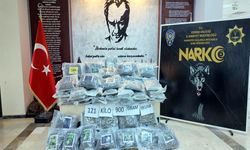Hamzabeyli’de TIR’da 121 kilo 900 gram skunk ele geçirildi