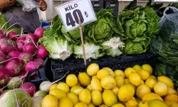 Fahiş fiyatlara “Üretici birlikleri” önerisi