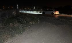TAG Otoyolu kenarında çürümüş erkek cansız beden bulundu