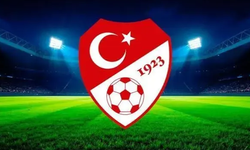 A Milli Takım'ın aday kadrosu açıklandı: 4 isim ilk kez davet edildi