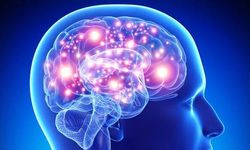 Yüksek radyasyon Alzheimer riskini artırabilir