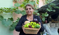 Hobi bahçesinde atalık tohumları gelecek nesillere taşıyor