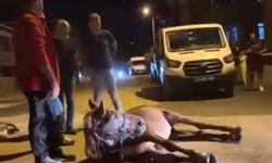 Ata şiddet iddiası: 2 şüpheli gözaltında