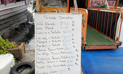 Çamlıbel’de balık yemek kaç TL? Güncel menü fiyatları