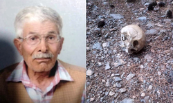 15 aydır kayıptı, ormanda kafatası bulundu