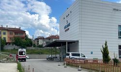Arı sokması orman işçisinin sonu oldu