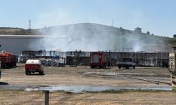 Salça fabrikasında yangın