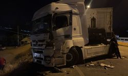 Sınır kapısında TIR şoförlerinin kavgası kanlı bitti