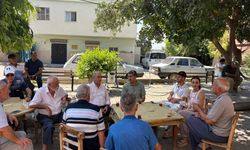 Ekmen: Köylü, maliyetler nedeniyle tarımdan vazgeçiyor