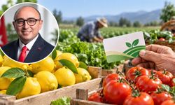 Mustafa Kara: “İlk nefesten son nefese kadar hemşehrimizin yanındayız”