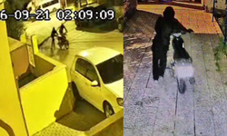 Avluya duvardan atlayıp motosikleti çaldılar