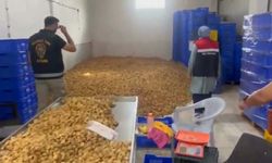25 ton etiketsiz incir ele geçirildi