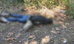 Dere kenarında tüfekli saldırı: 28 yaşındaki genç hayatını kaybetti