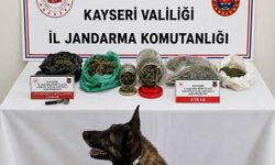 Kayseri'de 1,2 kilo esrar ele geçirildi; 1 kişi gözaltına alındı