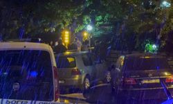 Komşu kavgasında kan aktı 2 yaralı