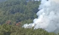 Kozan'da orman yangını başladı