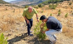 Kuraklığı önlemede 'su hasadı' yöntemi