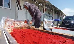 Kadınların 'salça' ve 'kurutmalık' telaşı başladı