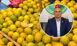 Limonu depoya koyan üretici zarar etti