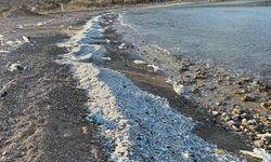 82 örgütten çağrı: “Plastik atık ithalatı yasaklansın”