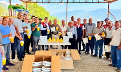 Erdemli’de şeftali üreticilerine Akdeniz Meyve Sineği desteği