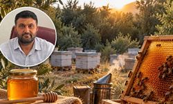 Mersin’de bal üreticisi hasattan memnun, satıştan değil